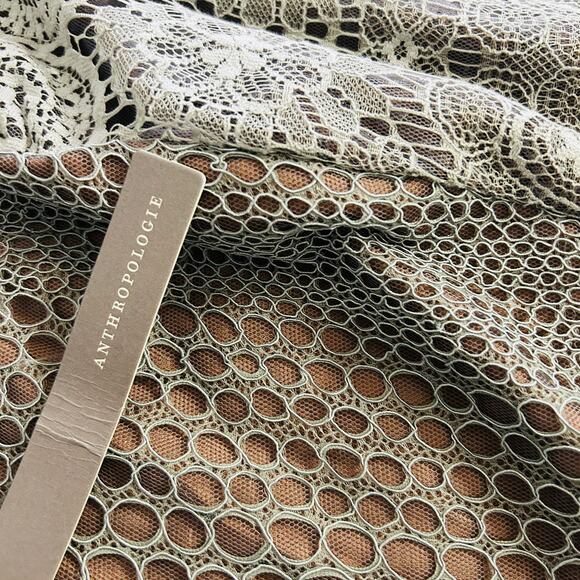 NEW Anthropologie Byron Lars Beguile Lace Sheath Dress Gisella Embroidered Sz 22 - Picture 13 of 13